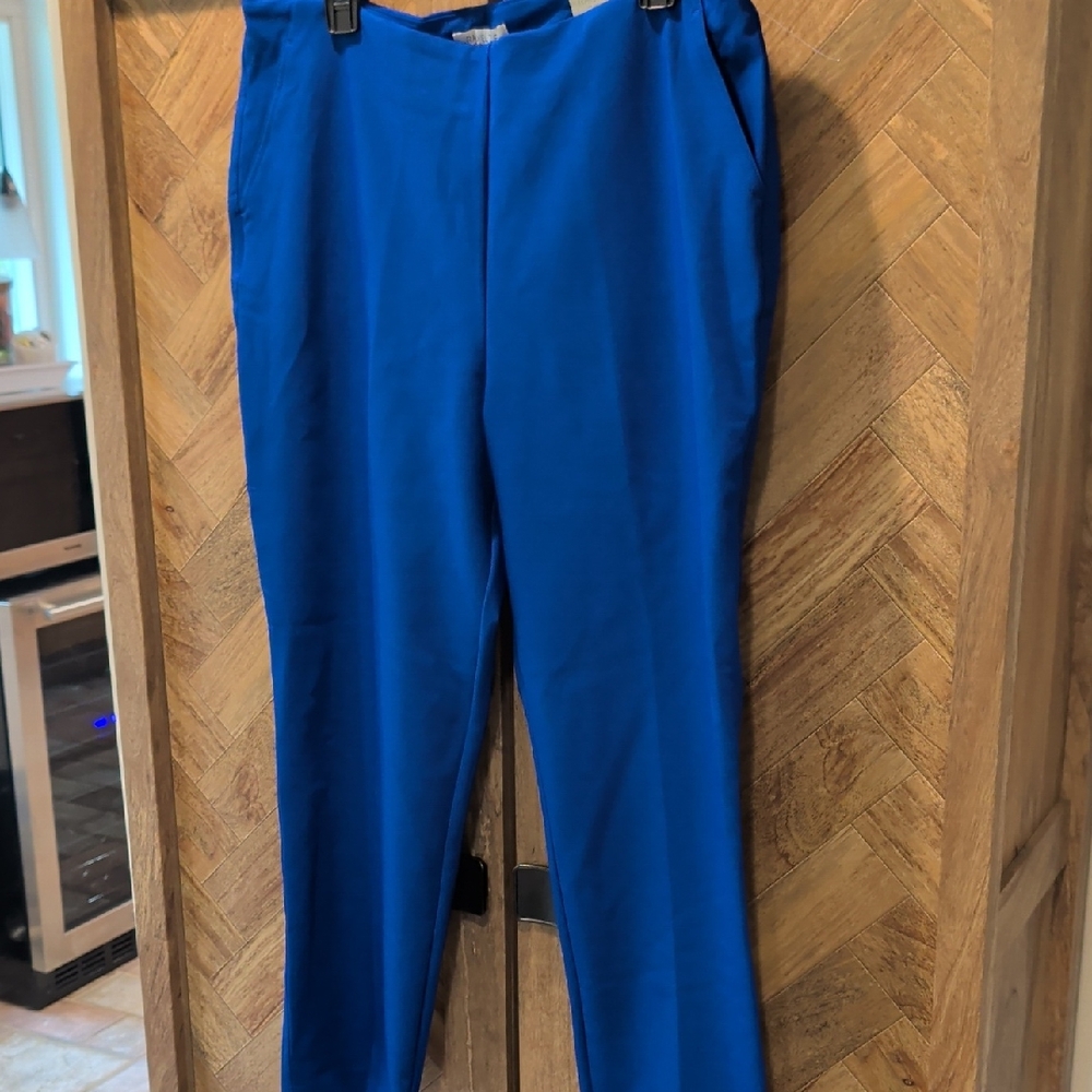 Rachel Zoe pull on pants in royal blue
